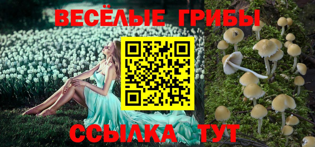 Псилоцибиновые грибы мицелий  Галлюциногенные грибы MAGIC MUSHROOMS  Вход с VPN  Киров 